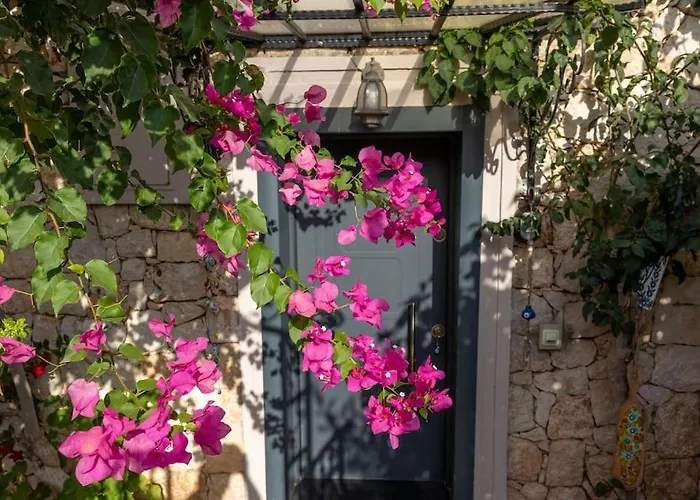 Havuzu, Plaji, Bahcesi Ve Olaganuestue Manzarasiyla… Villa