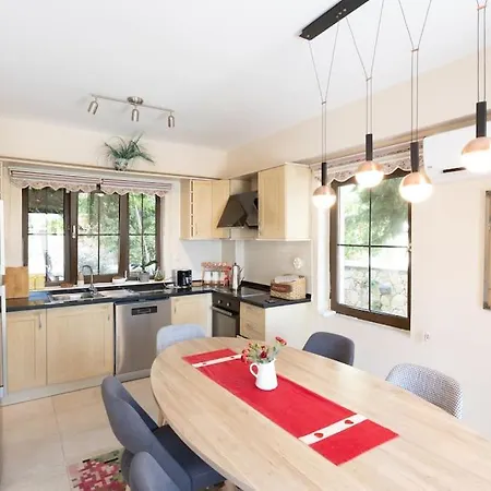 Havuzu, Plaji, Bahcesi Ve Olaganuestue Manzarasiyla… Villa Kaş