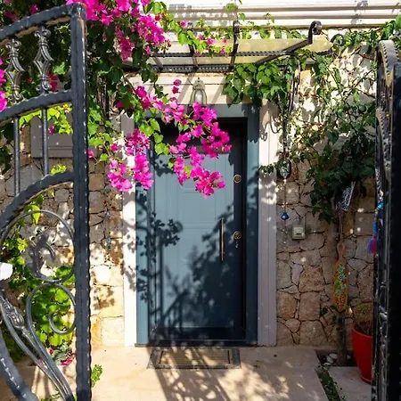 Havuzu, Plaji, Bahcesi Ve Olaganuestue Manzarasiyla… Villa