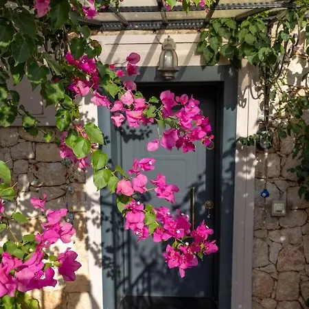Havuzu, Plajı, Bahçesi Ve Olağanüstü Manzarasıyla… Villa